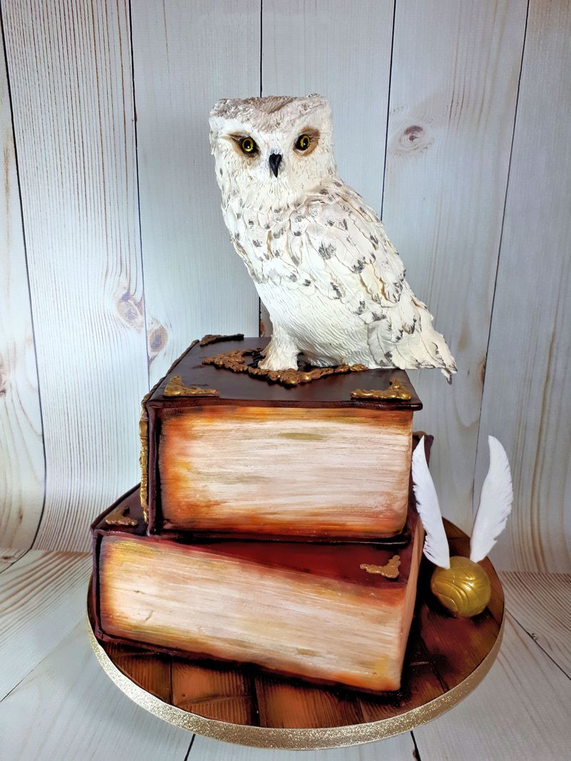 harry potter owl book cake